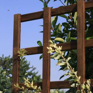 Holzgitter für den Außenbereich Hortus, Farbe Kastanie, 80 x 180 cm