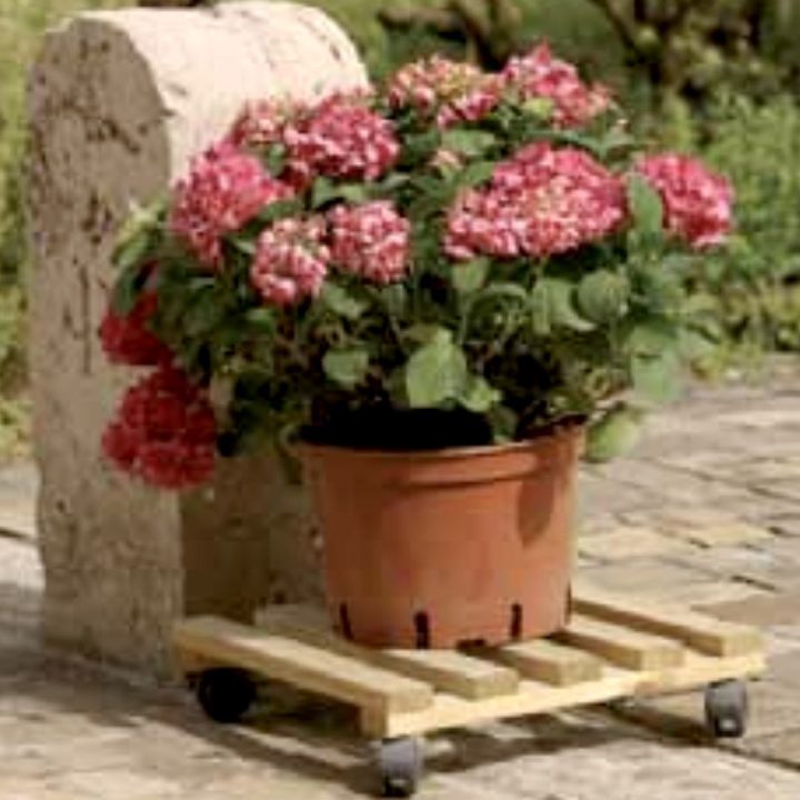 Holzuntersetzer mit Rädern quadratisch 35 x 35 cm Carry Kastanienfarbe