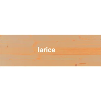 Colorazione casa color larice