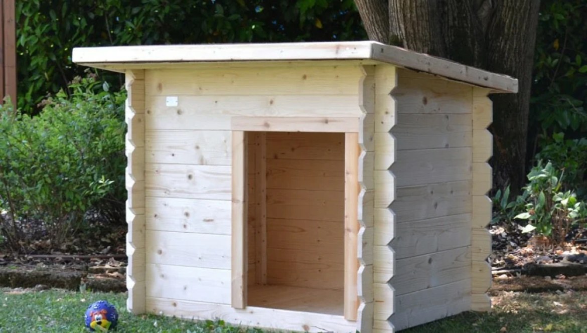 Hundehütte aus Holz für draußen: richtige Größe und Winter